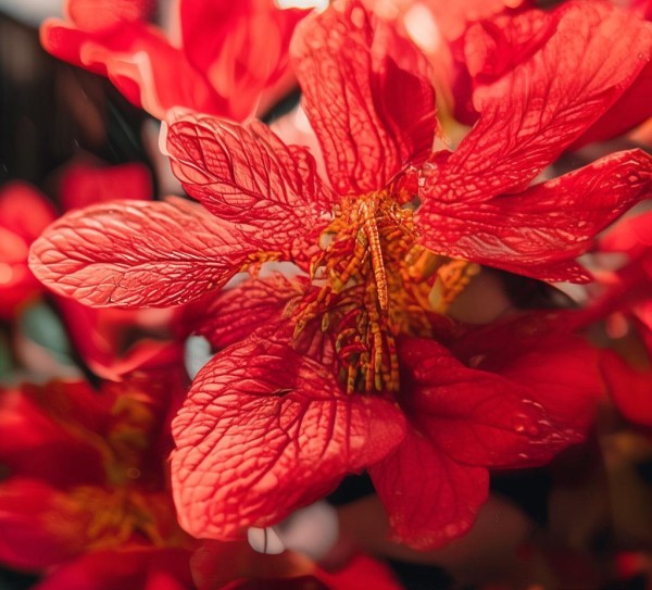 红色新闻商贸学校传承经典，培养未来