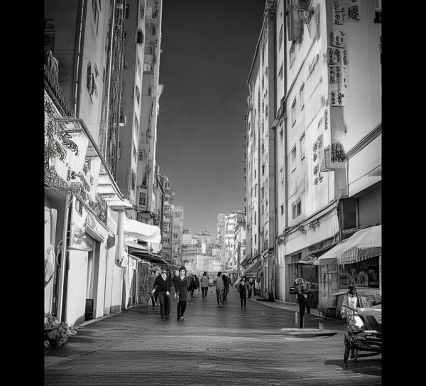 巴马商贸中心，见证巴马经济的新篇章