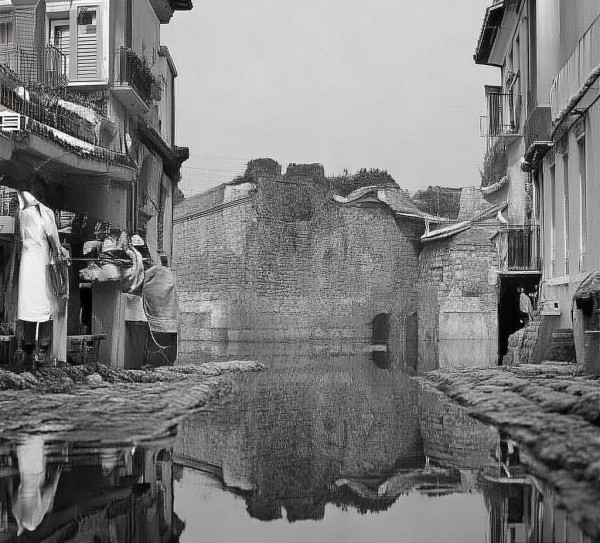 打造新兴商业生态的新引擎——石家庄商贸发展新姿态