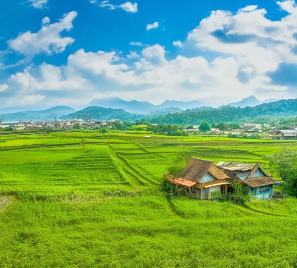 助力乡村振兴,开启商贸城新篇章 助力乡村振兴,开启商贸城新篇章