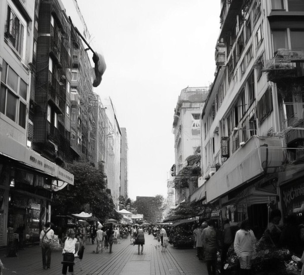 海南商贸公司，创新与机遇新探索