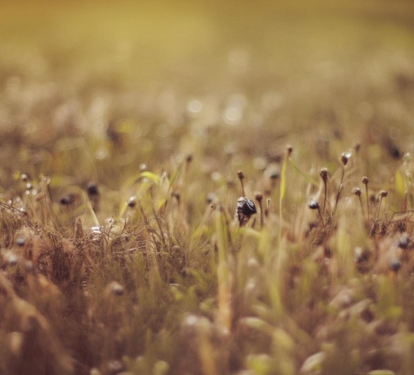 祁阳东部商贸城是数字经济时代的重要地标