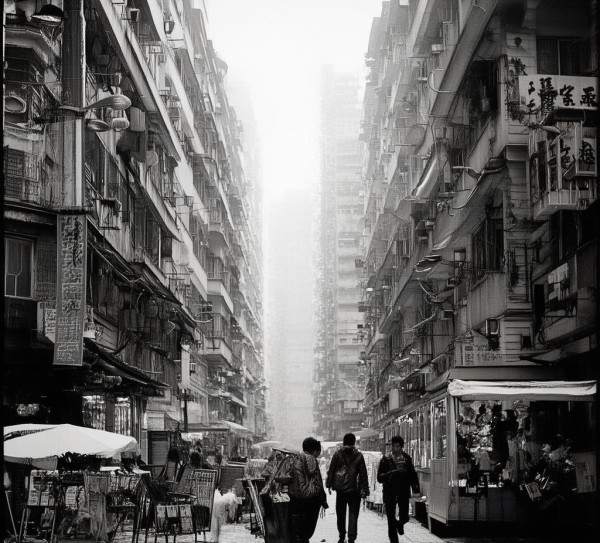 商贸城6区中标项目,带来新机遇,开启创新未来 商贸城6区中标项目,带来新机遇,开启创新未来